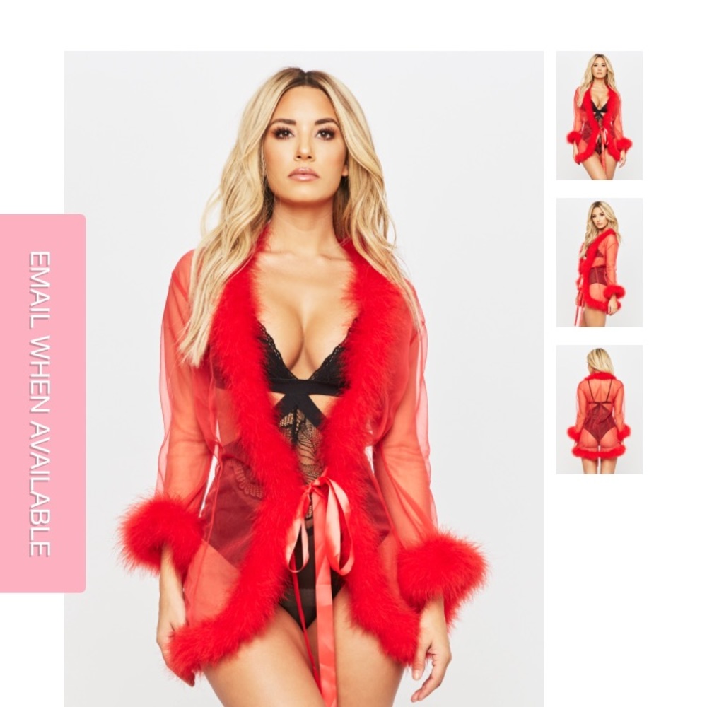 NEW HoneyBum robe/lingerie